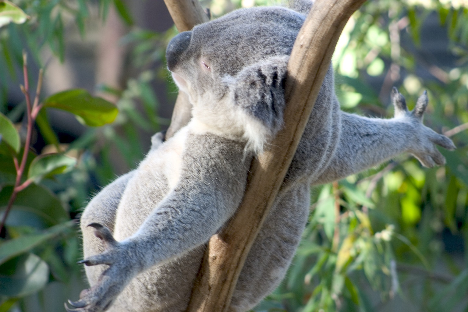 Destinationen Australien StressfreiAustralien